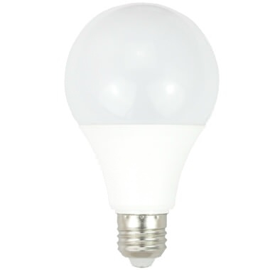 Solar DC LED Bulbs