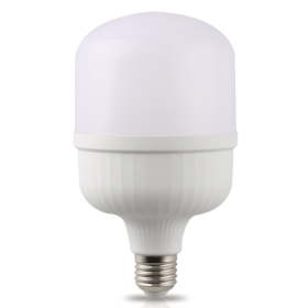 LED Bulbs - Plastic T Shape 