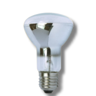 LED filament R63 bulb 4W 